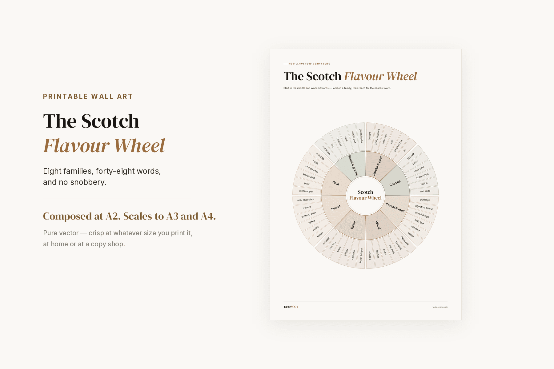 The Scotch Flavour Wheel wall-art print — eight flavour families from the centre out, on a cream A2 page