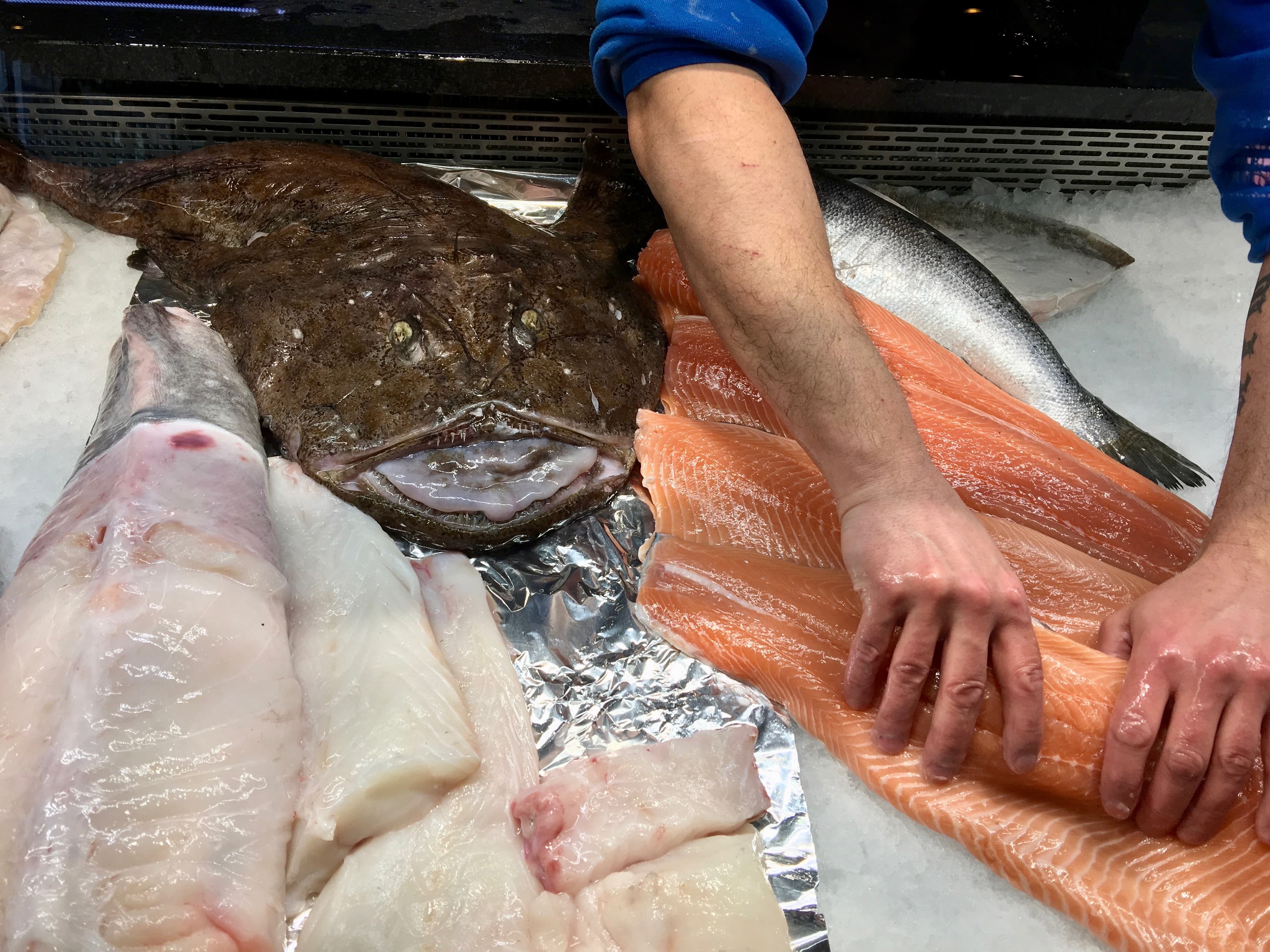 A whole monkfish on a fishmonger’s counter, its wide mouth towards the camera, salmon fillets alongside
