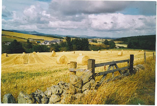 Harvest bales in a stubble field west of Midmar, Aberdeenshire, with Bennachie on the skyline