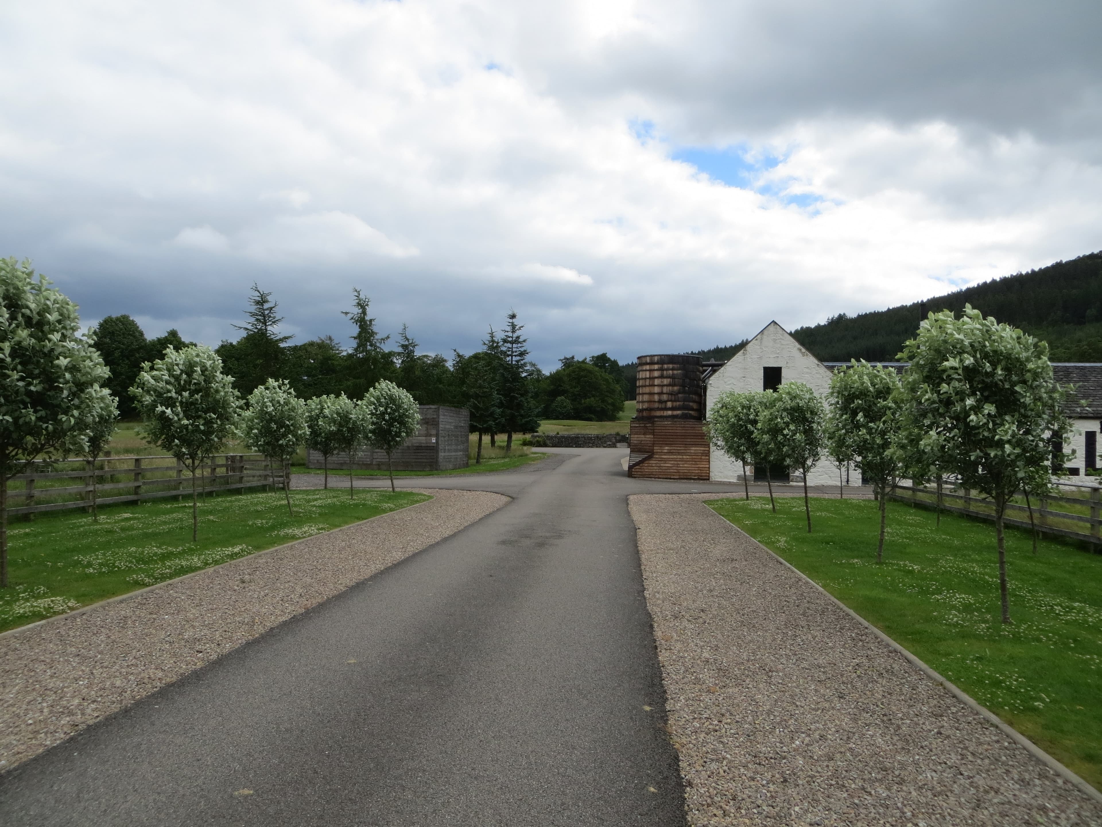 The tree-lined driveway leading to Ballindalloch distillery