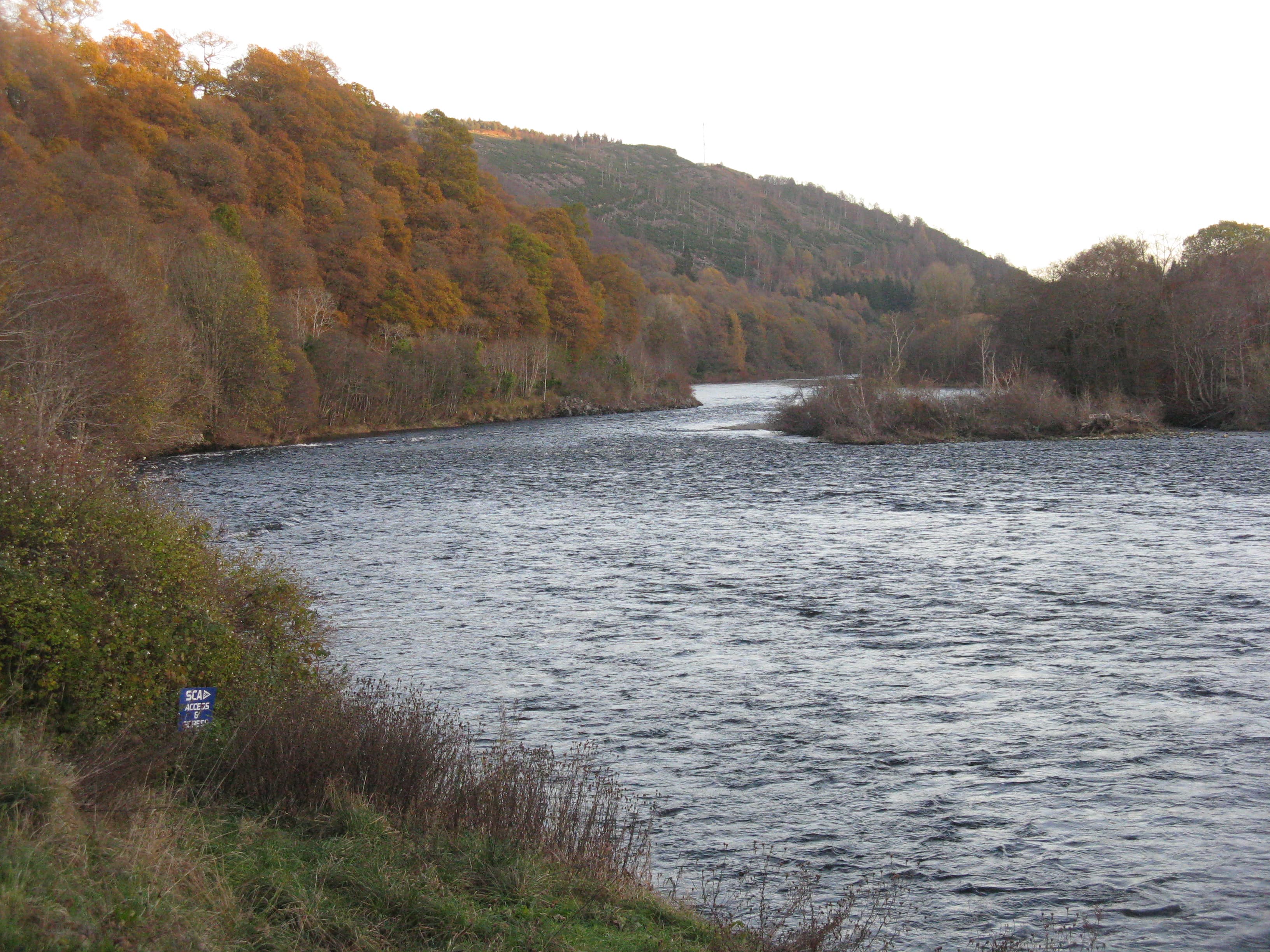 Evening light over Strath Tay, Perthshire, the River Tay winding between farmland and woods