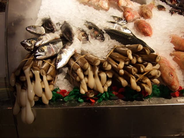 Bundles of razor clams on ice at a fishmonger’s counter, mackerel behind